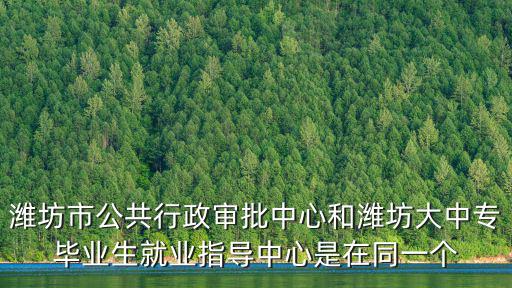 濰坊市公共行政審批中心和濰坊大中專畢業生就業指導中心是在同一個