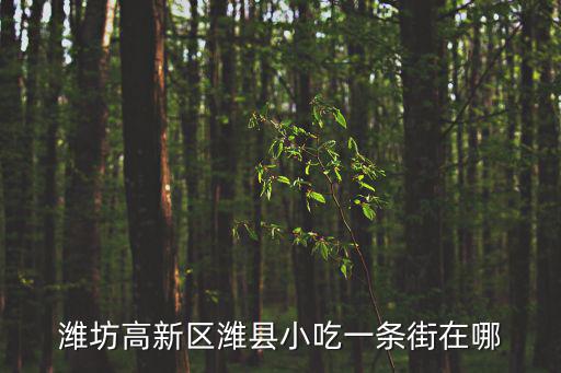 老濰縣美食街，濰坊的美食街在哪
