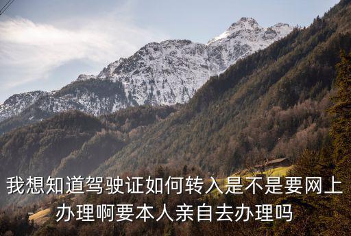我想知道駕駛證如何轉(zhuǎn)入是不是要網(wǎng)上辦理啊要本人親自去辦理嗎