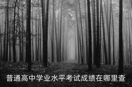普通高中學業水平考試成績在哪里查
