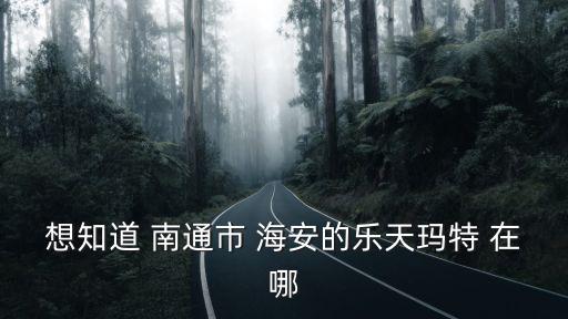 想知道 南通市 海安的樂天瑪特 在哪
