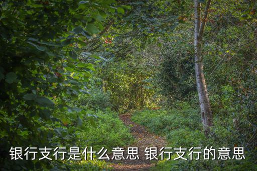 銀行支行，什么銀行是支行