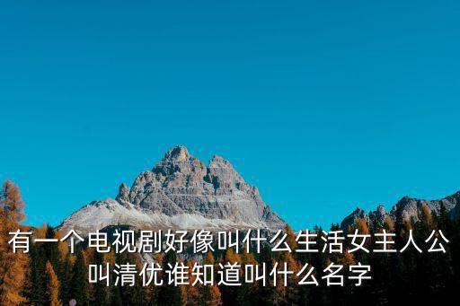 青優，有一個電視劇好像叫什么生活女主人公叫清優誰知道叫什么名字
