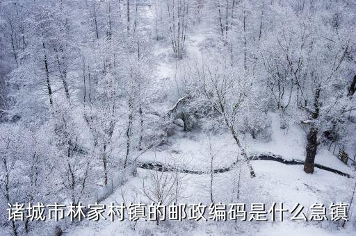 林家村鎮(zhèn)，諸城市林家村鎮(zhèn)的郵政編碼是什么急鎮(zhèn)