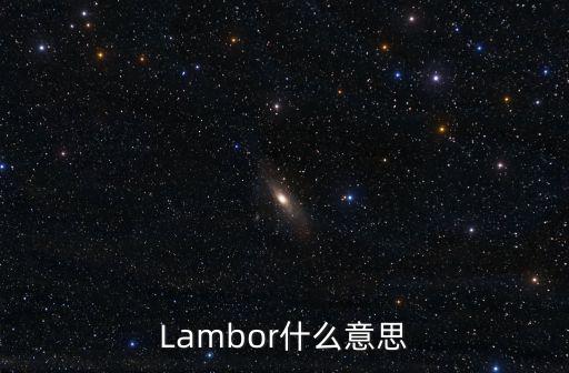 Lambor什么意思