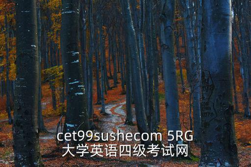 英語四級網站，cet99sushecom 5RG大學英語四級考試網