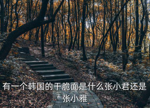 張小君，張小君的介紹