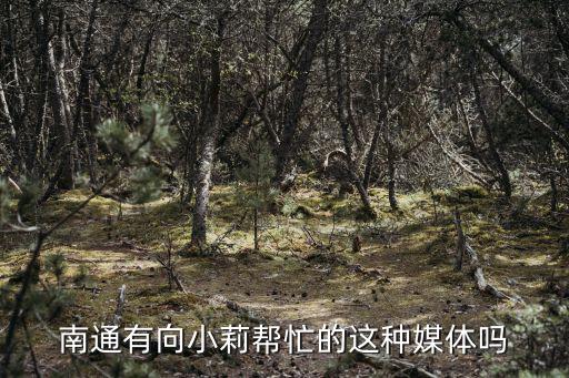 南通有向小莉幫忙的這種媒體嗎