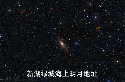 新湖綠城海上明月地址