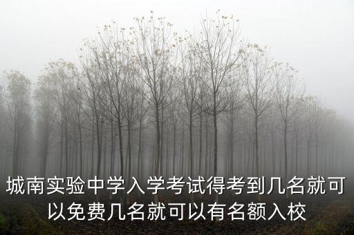 城南實驗中學入學考試得考到幾名就可以免費幾名就可以有名額入校