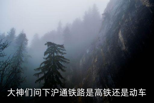 大神們問下滬通鐵路是高鐵還是動車