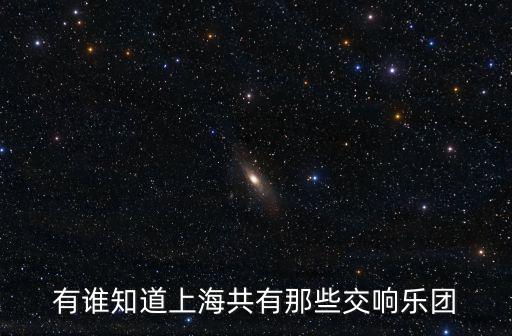 有誰知道上海共有那些交響樂團