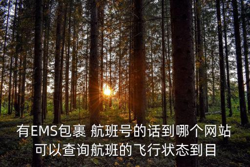 航班動態查詢，如何跟蹤查詢航班飛行動態