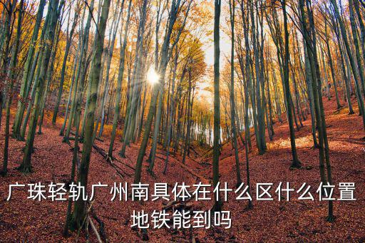 廣珠輕軌廣州南具體在什么區什么位置地鐵能到嗎