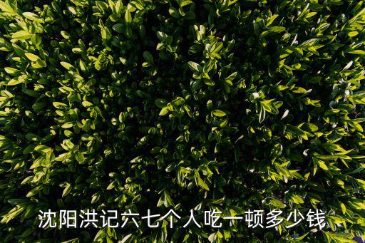 沈陽洪記六七個人吃一頓多少錢