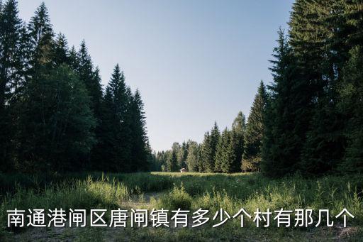 南通港閘區唐閘鎮有多少個村有那幾個