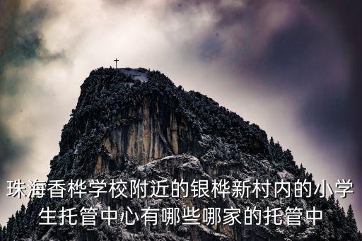 珠海香樺學校附近的銀樺新村內的小學生托管中心有哪些哪家的托管中