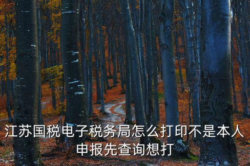 江蘇國稅電子稅務(wù)局怎么打印不是本人申報(bào)先查詢想打