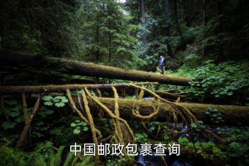 中國郵政包裹查詢