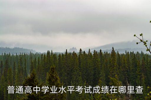 普通高中學業水平考試成績在哪里查