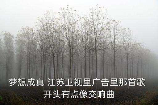 江蘇衛(wèi)視夢(mèng)想成真，3月19日晚江蘇衛(wèi)視尋找陳奶奶過程中的背景音樂叫啥是