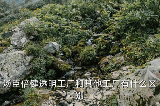 湯臣倍健透明工廠和其他工廠有什么區(qū)別