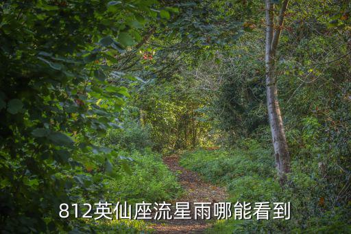 812英仙座流星雨哪能看到