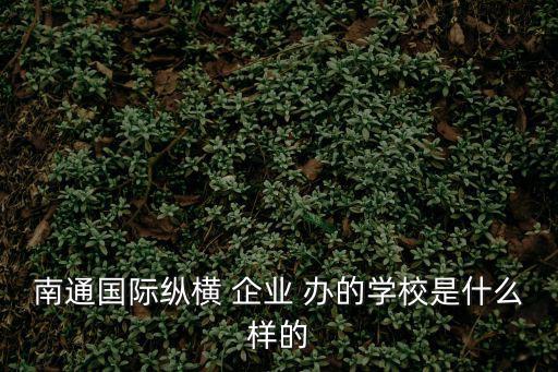 南通國(guó)際縱橫 企業(yè) 辦的學(xué)校是什么樣的
