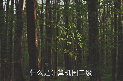 全國計算機等級考試二級，什么是計算機國二級