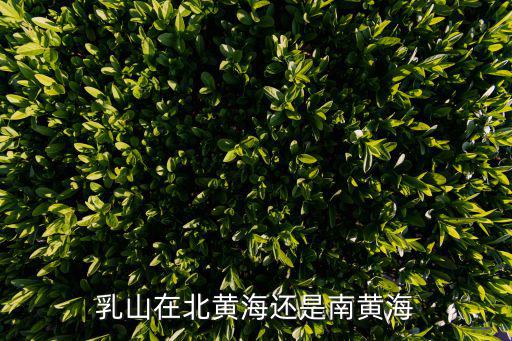 南黃海，乳山在北黃海還是南黃海