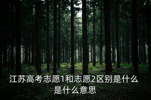江蘇志愿，江蘇大學生志愿服務蘇北計劃江蘇籍省外高校畢業生可以報嗎
