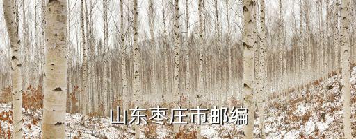 山東棗莊市郵編
