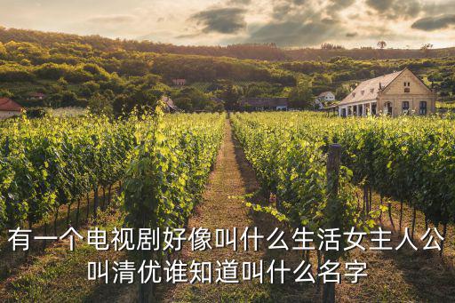 有一個電視劇好像叫什么生活女主人公叫清優誰知道叫什么名字