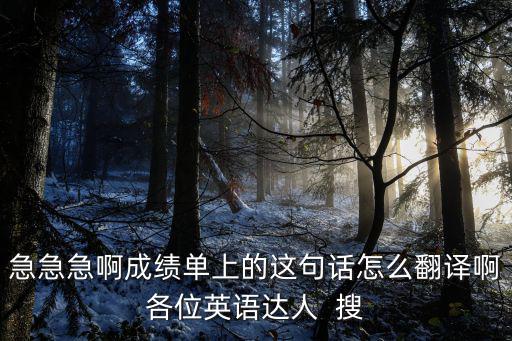 急急急啊成績單上的這句話怎么翻譯啊各位英語達人  搜