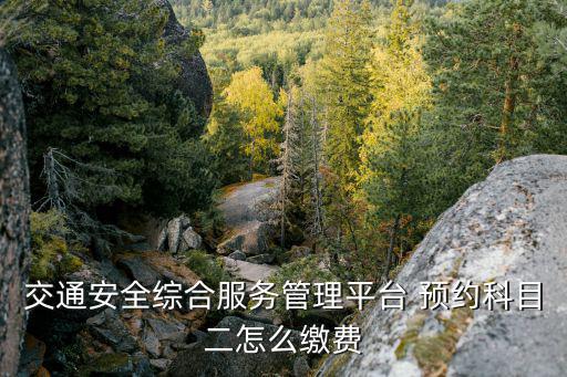 交通安全綜合服務管理平臺 預約科目二怎么繳費