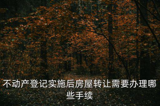 不動產登記實施后房屋轉讓需要辦理哪些手續