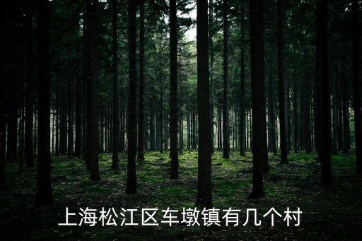 上海松江區車墩鎮有幾個村