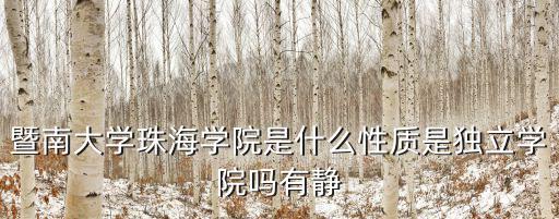 暨南大學珠海學院是什么性質是獨立學院嗎有靜