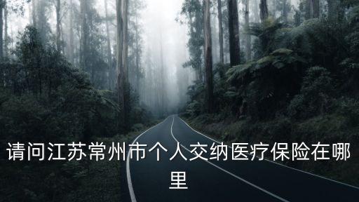 請問江蘇常州市個人交納醫療保險在哪里