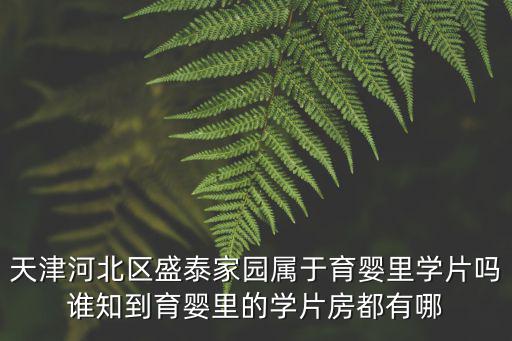 天津河北區盛泰家園屬于育嬰里學片嗎誰知到育嬰里的學片房都有哪