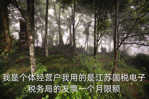 我是個(gè)體經(jīng)營戶我用的是江蘇國稅電子稅務(wù)局的發(fā)票一個(gè)月限額