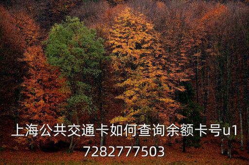 上海公共交通卡如何查詢余額卡號u17282777503