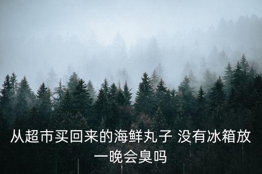 從超市買回來的海鮮丸子 沒有冰箱放一晚會臭嗎