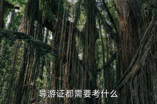 導(dǎo)游證都需要考什么