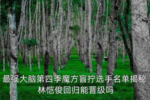 最強大腦第四季魔方盲擰選手名單揭秘 林愷俊回歸能晉級嗎