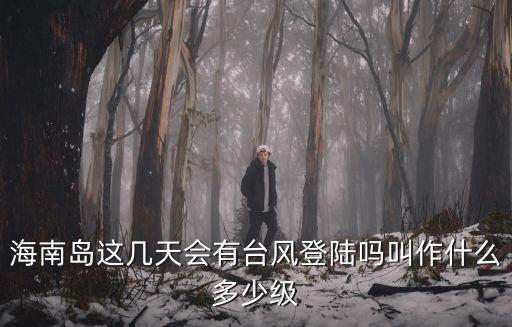 海南島這幾天會有臺風登陸嗎叫作什么多少級