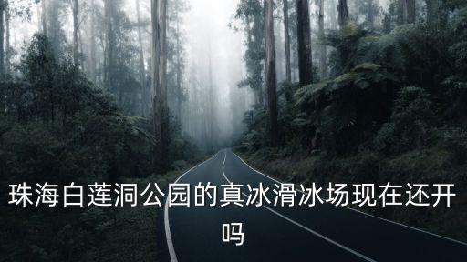 珠海白蓮洞公園的真冰滑冰場現在還開嗎
