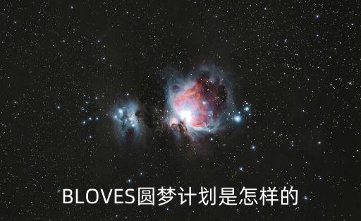 BLOVES圓夢計劃是怎樣的