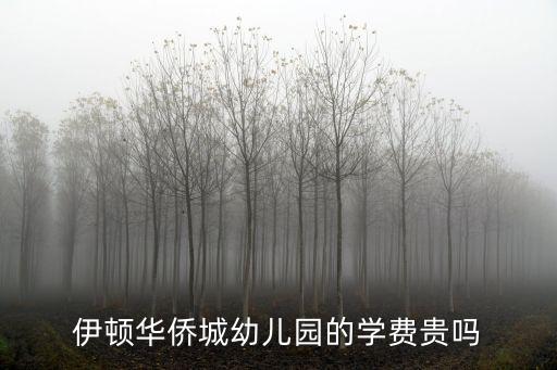 伊頓華僑城幼兒園的學費貴嗎