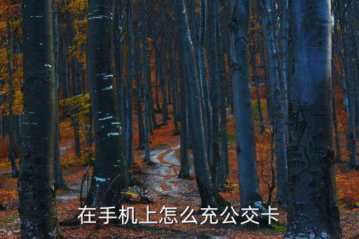 在手機上怎么充公交卡